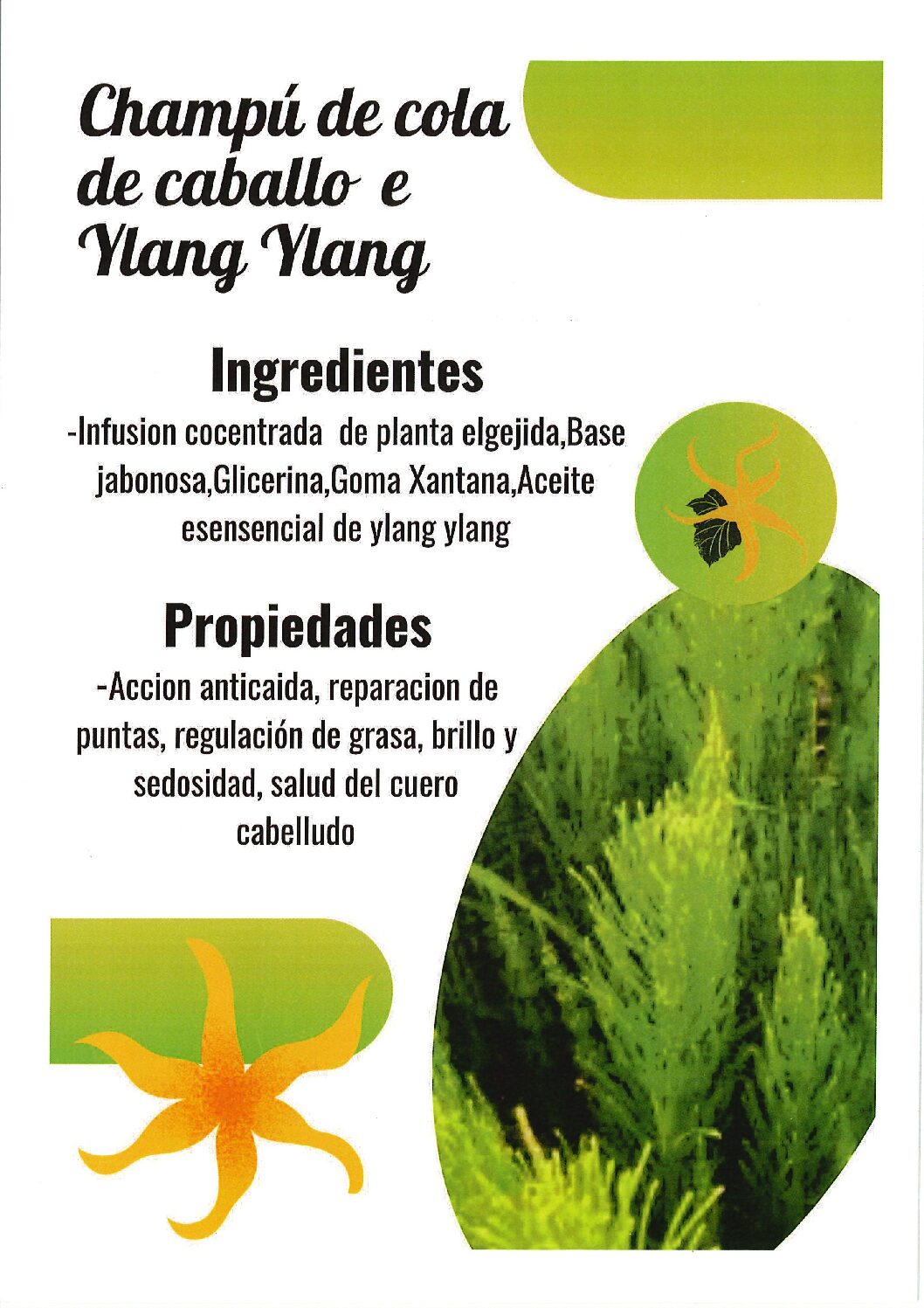 Champú cola de caballo e Ylang Ylang